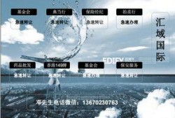 深圳邓先生最新爆料,最新爆料引发社会热议