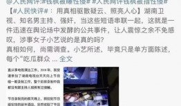 百草被子爆料视频播放,揭秘神秘面纱背后的真实故事