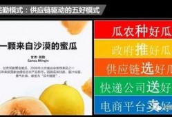 网红吃民勤蜜瓜是真的吗,真相揭秘，网红美食背后的故事