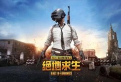 重大爆料吃鸡事件真相视频,重大爆料视频深度解析