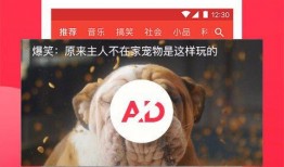 吃瓜渣男视频下载安装免费,免费下载安装背后的真相
