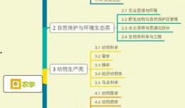 仲达最初爆料视频大全集,揭秘娱乐圈不为人知的真相