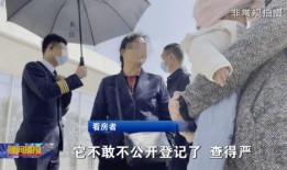 沈阳记者爆料事件视频最新,真相与争议交织的幕后真相揭露